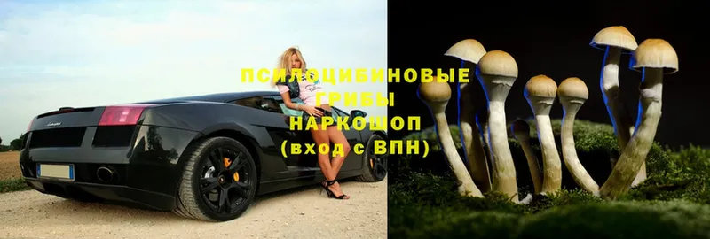 Псилоцибиновые грибы Magic Shrooms  наркошоп  мега ссылка  Орлов 